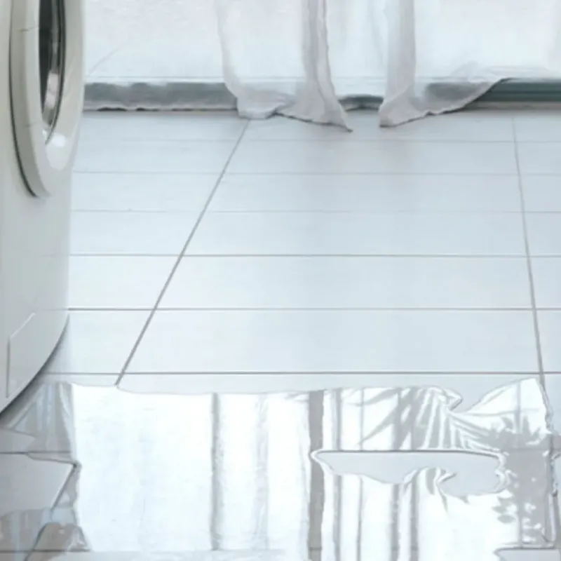 Appliance Leak Cleanup in Franklin County, IL