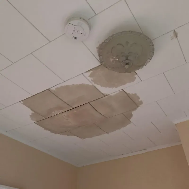 Ceiling Water Damage Repair in Franklin County, IL
