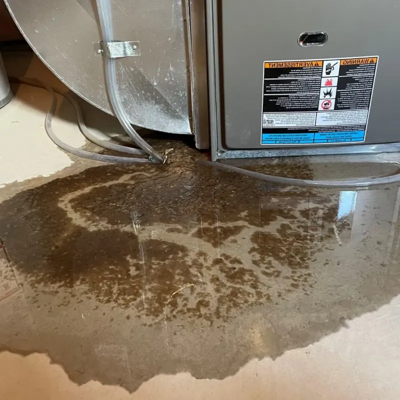 Pipe Burst and Leak Restoration in Franklin County, IL