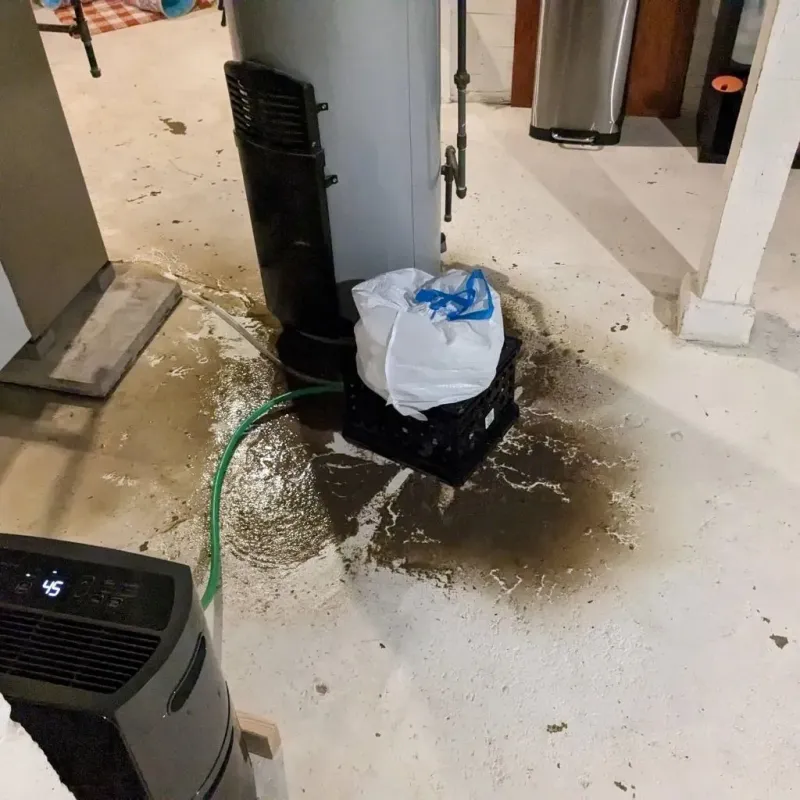 Sewage Backup Cleanup Service in Franklin County, IL